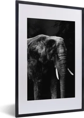 Produktbild von MuchoWow® Gerahmtes Poster Elefant auf schwarzem Hintergrund - schwarz und weiß 40x60 cm - Poster mit Schwarzem Bilderrahmen Wandposter Rahmen Foto Bilder - Poster in Rahmen