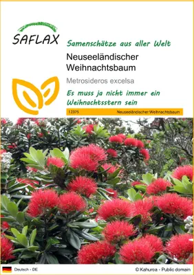 Produktbild von SAFLAX - Neuseeländischer Weihnachtsbaum - Metrosideros excelsa - 300 Samen