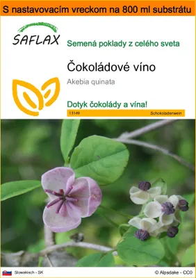 Obrázok produktu pre SAFLAX Garden in the bag - čokoládové víno - Akebia quinata - 10 Semená - S pestovateľským substrátom v praktickom samostaviteľnom vrecku