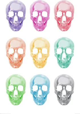 Produktbild von Empireposter Poster Skulls Pop Art Fantasy 61x91,5 cm