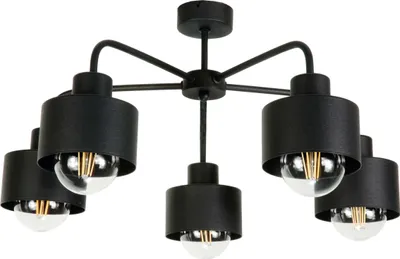 Obrázok produktu pre Priemyselné stropné svietidlo Loft, čierne, HIGS 14-200