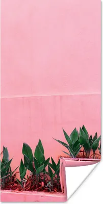 Produktbild von MuchoWow® Poster Pflanzen - Sommer - Farbe 60x120 cm - Wandschmuck