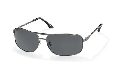 Produktbild von Polaroid PLD2017/S Herren-Sonnenbrille mit Vollrand, Metall