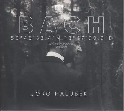 Obrázek produktu pro Bach:Varhanní krajiny VIII (Steinberg,Geising)