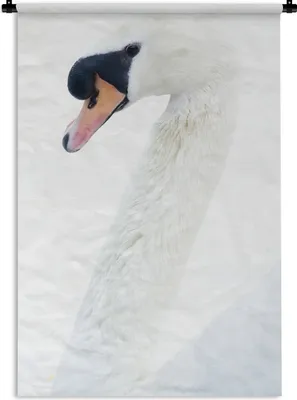 Produktbild von MuchoWow® Wandteppich Wandbehang Schwan auf weißem Hintergrund 90x135 cm Tapisserie Dekoration Wandtuch - Baumwolle - Wandskulptur