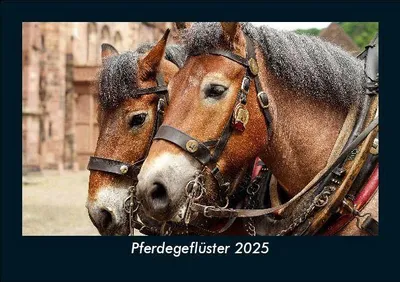 Produktbild von Pferdegeflüster 2025 Fotokalender DIN A5