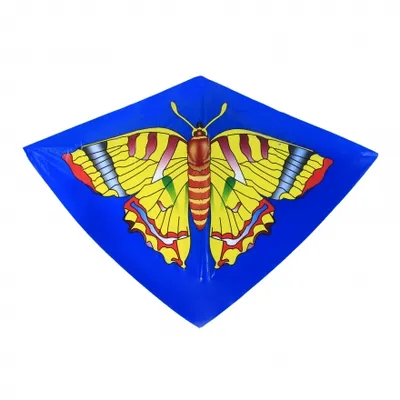 Obrázok produktu pre RAPPA Lietajúci drak 110 x 71 cm
