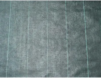 Image de Bâche de Sol Anti-Mauvaises Herbes 2x5 m, 100 g/m², Noir
