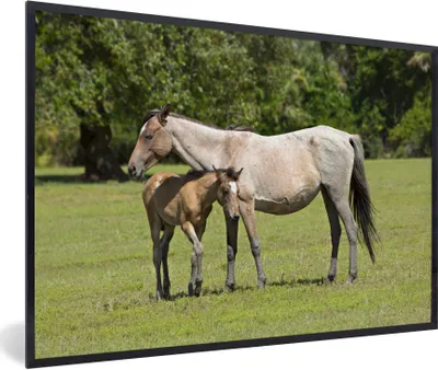 Produktbild von MuchoWow® Gerahmtes Poster Pferde - Gras - Schatten 90x60 cm - Poster mit Schwarzem Bilderrahmen Wandposter Rahmen Foto Bilder - Fotorahmen - Foto-Plakat