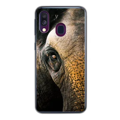 Produktbild von MuchoWow® Handyhülle Schutzhülle Hülle für Samsung Galaxy A40 Elefant - Nahaufnahme - Tiere - Natur Silikon Softcase Handy Hülle - Handy-Tasche