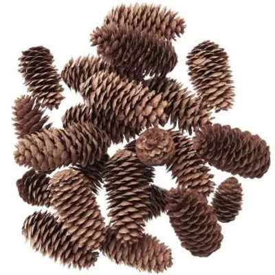 Produktbild von Fichtenzapfen natur 200g