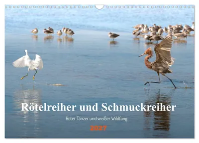 Produktbild von Rötelreiher und Schmuckreiher (Wandkalender 2027 DIN A3 quer), CALVENDO Monatskalender