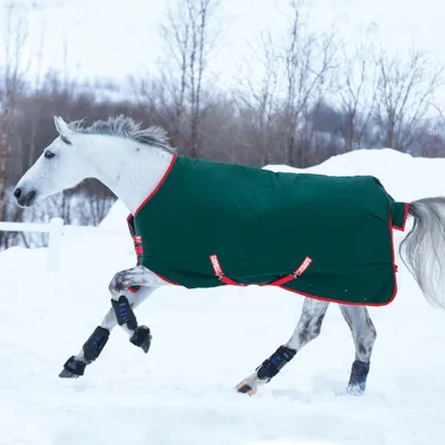 Produktbild von Horseware Rambo Original Turnout Heavy 400g - Green/Red, 130