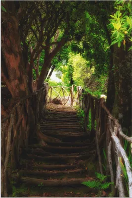 Produktbild von ARTland Wandbild Alu für Innen & Outdoor Wanderweg Größe: 40x60 cm