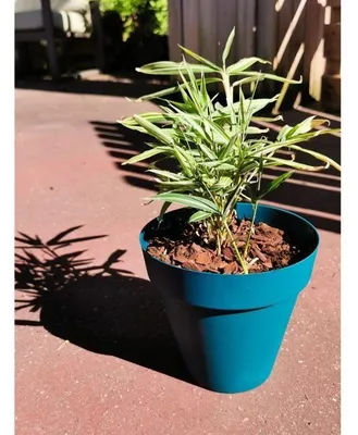 Immagine prodotto di Vaso con fiori, Riviera Blue O 55 cm, 3580794160069