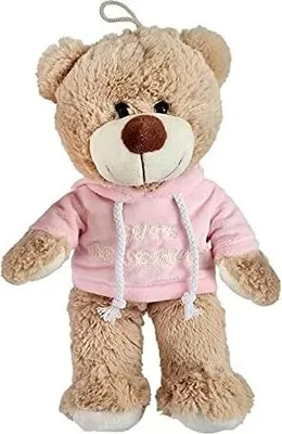 A plush teddy bear wearing a pink hoodie against a white background.