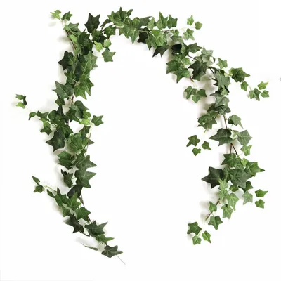 Image de Guirlande artificielle en lierre, 2 pièces, longueur 1,8 m, plante artificielle pour la décoration