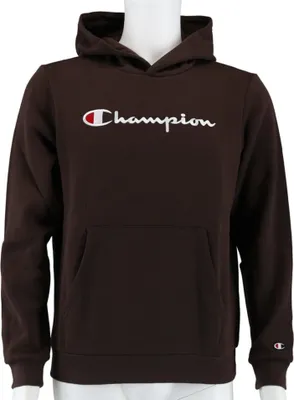Produktbild von Sweatshirts Champion Big Logo Print 306497MS548