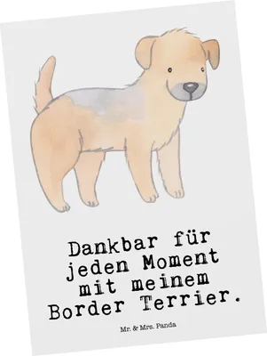 Produktbild von Mr. & Mrs. Panda Postkarte Border Terrier Moment - Weiß - Geschenk, kunstkarte, Ansichtskarten, Grußkarte, bildkarte, Postkarten