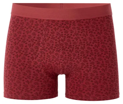 Produktbild von Celio Miboflori Boxer M
