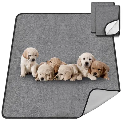 2er-Pack Hundetrainingsmatten 70x100 cm, waschbar, rutschfest