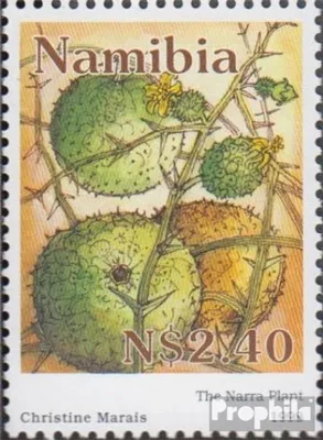 Produktbild von Briefmarken Namibia - Südwestafrika 1998 Mi 931 (kompl.Ausg.) postfrisch Narapflanzen