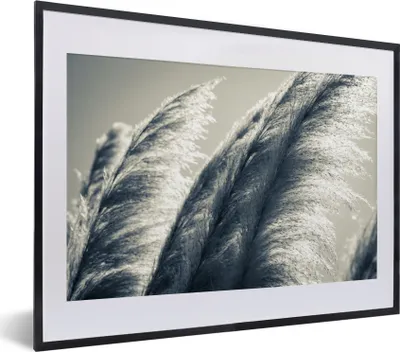 Produktbild von MuchoWow® Gerahmtes Poster Pampasgras - Schwarz - Weiß - Natur 40x30 cm - Poster mit Schwarzem Bilderrahmen Wandposter Rahmen Foto Bilder - Bilderrahmen - Poster im Rahmen