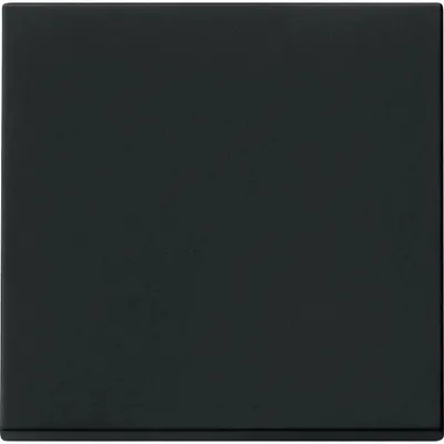 Produktbild von GIRA 0916005 Wippe Tastschalter System 55 Schwarz matt (lackiert)