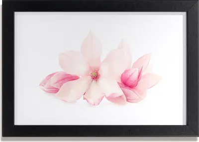Produktbild von Bild 30x20 MDF-Rahmen Wandkunst Blumen Blütenblätter Pflanze Natur