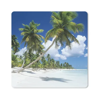 Produktbild von MuchoWow® Mauspad Mousepad Strand - Palme - Tropisch 30x30 cm - Mousepads - Maus Mat - Pad - Mausunterlage - Gaming