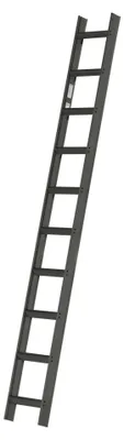 Immagine prodotto di Scala da tetto con rivestimento antracite, 10 pioli e circa 2,80 m