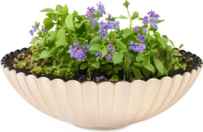 Produktbild von Dekoschale runde Pflanzschale für draussen champagner gold 28 cm