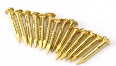 Obrázok produktu pre Dioche 100 kusov mosadzných pántov s okrúhlou hlavou, silné upevnenie, nábytkové pánty, príslušenstvo pre domácich majstrov, 10 Mm/15 Mm/18 Mm/22 Mm (dĺžka 10 mm)
