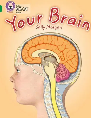 Produktbild von Your Brain