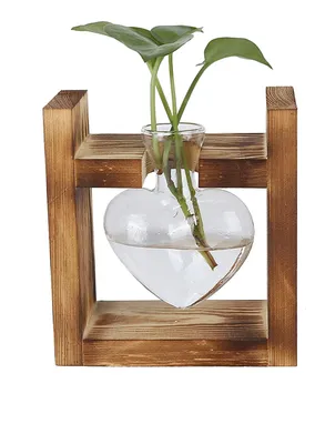 Pflanzenterrarium mit Holzständer, herzförmig, Glas, Tischvase