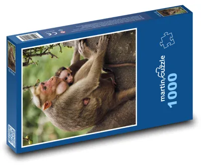 Obrázok produktu pre Puzzle 1000 Opica matka s mláďaťom - martinpuzzle