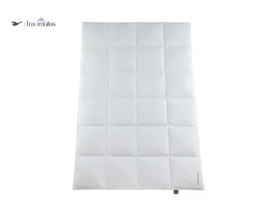 Produktbild von Häussling Traumulus Winter Daunendecke KB 4x6 extra warm 155x220 cm , Deutsche Manufaktur, auch für Allergiker geeignet, Bezug 100% Baumwolle