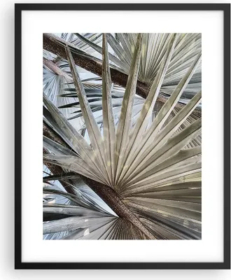 Produktbild von Gerahmtes Poster - Schwarzer Rahmen - Blatt Palme Natur - 40x50 cm - Wand Bild - Wanddeko - Wandbilder - Kunstposter - Wandposter - Bilderrahmen - Bilder - Kunstdruck - P2BPA40x50-5056