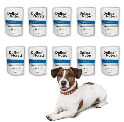 Produktbild von Dolina Noteci Premium Forelle Nassfutter für Hunde 10x500g