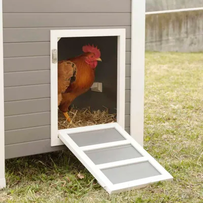 Zdjęcie produktu dla Kerbl ECO kurnik Barney plastikowy 137×73×83 cm szaro-biały