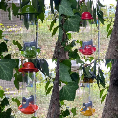Image de Silo à graines pour oiseaux