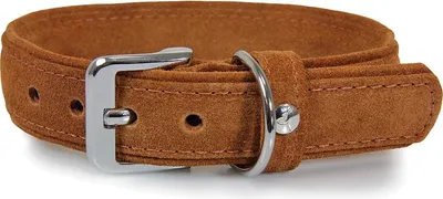 Produktbild von Das Lederband Hundehalsband Toronto cognac/cognac, Länge: 60 cm / Breite: 40 mm