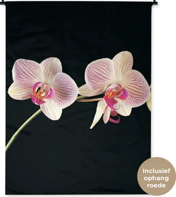 Produktbild von MuchoWow® Wandteppich Wandbehang Orchidee - Blumen - Schwarz - Rosa - Knöpfe 120x160 cm Tapisserie Dekoration Wandtuch - Wohnzimmer - Moderne