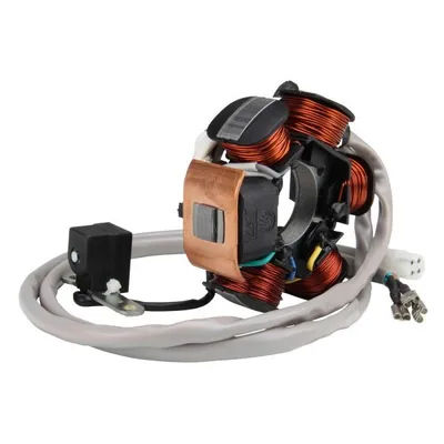 Obrázok produktu pre Originálny alternátor pre Piaggio Sfera RST, TPH Typhoon X X-R, Zip C06 C11, Gilera Runner 50, Vespa ET2 – Piaggio OE 1