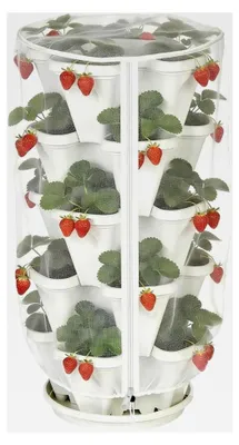 Produktbild von Pflanzenschutzhauben, windbeständige Gemüseabdeckung | Vogelschutznetz für Garten zum Schutz von Gemüse, Sträuchern, Erdbeeren, Pflanzen, Früchten, Hochbeeten, für den Anbau im Freien und im Winter