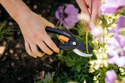 Produktbild von Schnittschere 20cm Schwarz Orange Edelstahl Klinge Einhandschneider