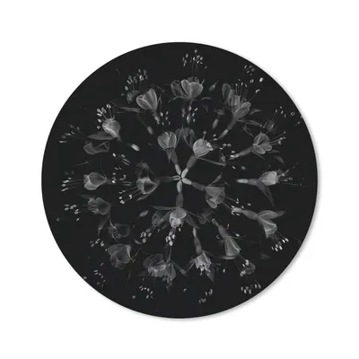 Produktbild von MuchoWow® Mauspad Mousepad Blume - Lila - Blau - Makro - Schwarz 20x20 cm - Mousepads - Maus Mat - Pad - Mausunterlage - Schreibtischmatte