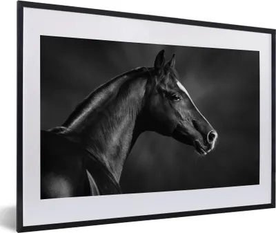 Produktbild von MuchoWow® Gerahmtes Poster Pferd - Tiere - Schwarz - Weiß - Porträt 60x40 cm - Poster mit Schwarzem Bilderrahmen Wandposter Rahmen Foto Bilder - Schlafzimmer - Plakat in Rahmen - Drucken