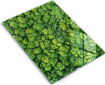 Produktbild von Glasschneideplatte - Herdabdeckplatte - 40x52 cm - Schneidebrett - Spritzschutz - Art der Moospflanze