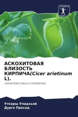 Produktbild von ASKOHITOVAYa BLIZOST' KIRPIChA(Cicer arietinum L).